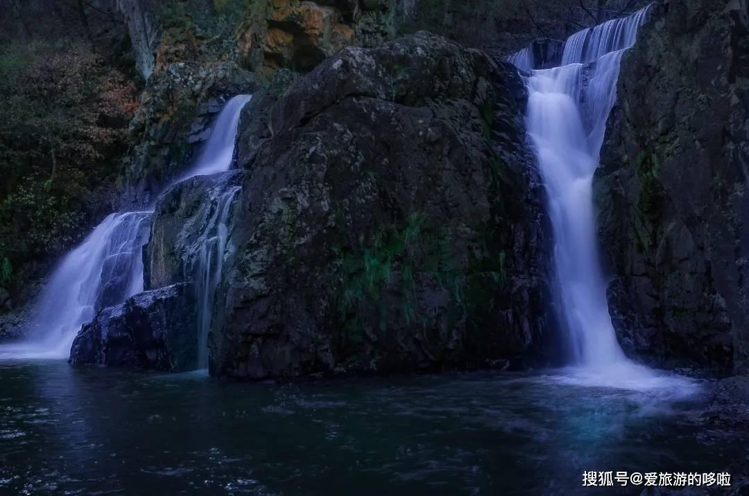 龙血树叶子尖发黄干枯是怎么回事游戏画面